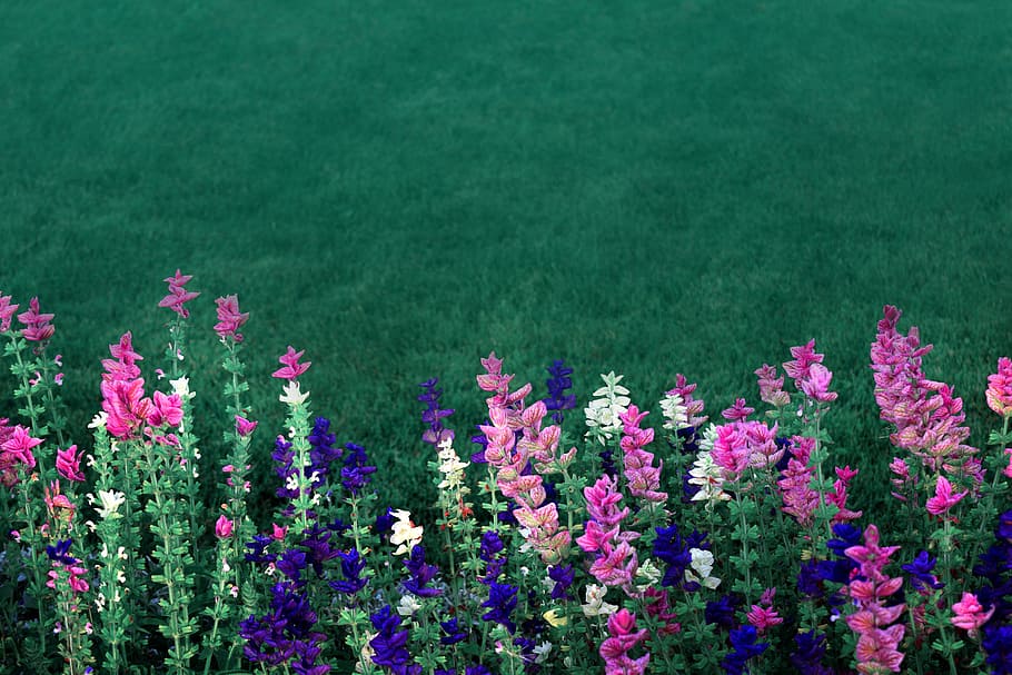 bouquet, feminine, pink color, lover