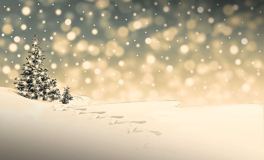 christmas card, christmas tree, illuminated, snowflakes Free HD Wallpaper