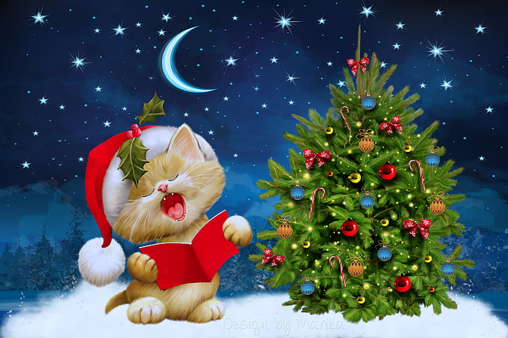 Christmas Cat Free, star shape, bow, christmas decoration, humor