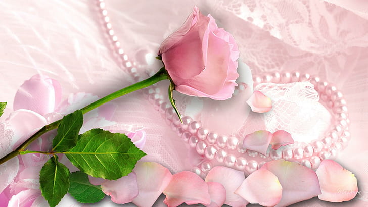 Diamond Glitter Roses, precious, pearls, nature and land, luxurious Free HD Wallpaper