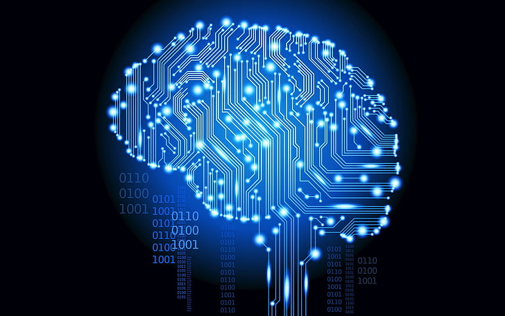 Digital Brain, vibrant color, computer language, internet, binary code Free HD Wallpaper