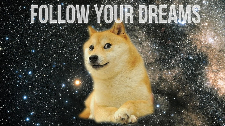 Doge Meme Birthday, memes, communication, outdoors, western script Free HD Wallpaper