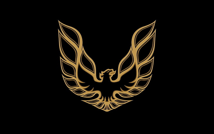 Firebird Logo Vector, studio shot, illuminated, design, fire Free HD Wallpaper