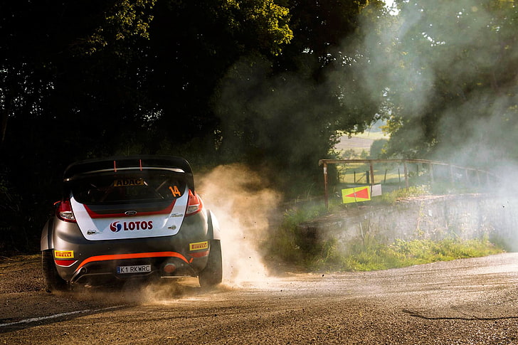 Ford Fiesta Rally Kit, motion, nature, on the move, car Free HD Wallpaper