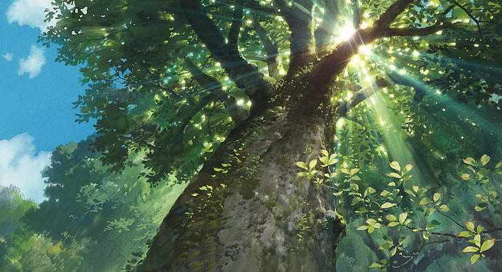 Ghibli Field, karigurashi no arrietty, sunbeam, tranquility, worms eye view