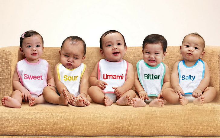 Happy Colors Baby Book, full length, indoors, group of people, offspring