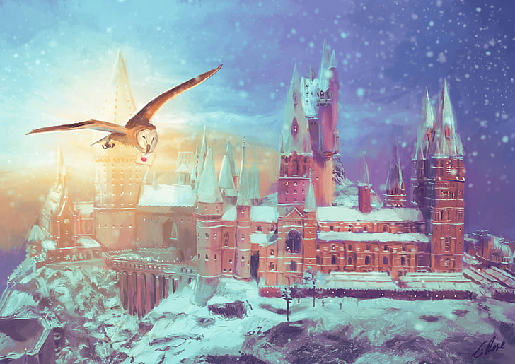 Hogwarts Castle Watercolor, vertebrate, owl, cityscape, rock Free HD Wallpaper