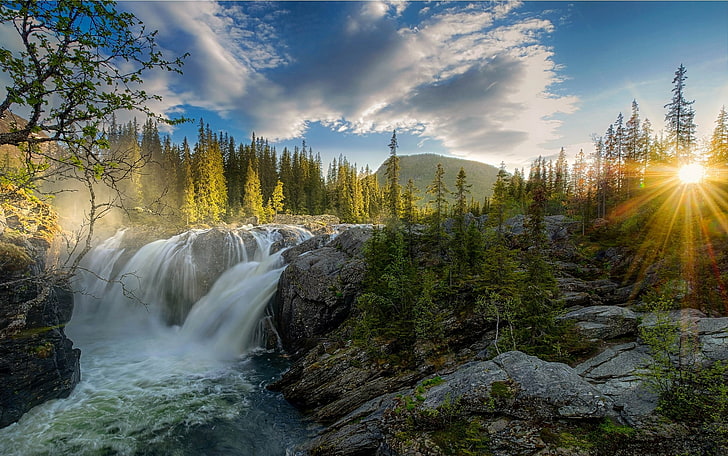 Landscapes Trees Forest with Stream, lens flare, cloud  sky, outdoors, pine trees Free HD Wallpaper