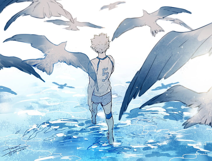 Motoya Haikyuu, vertebrate, bird, flying, frozen Free HD Wallpaper