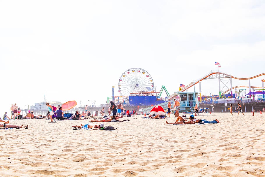 Santa Monica Pier Aquarium, beach, amusement park, los angeles, land Free HD Wallpaper