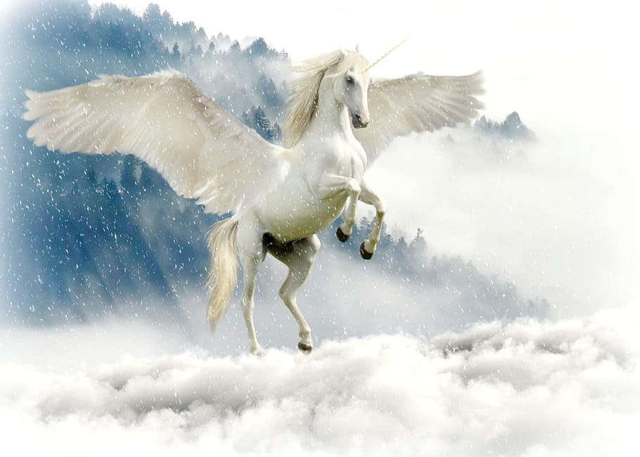 Unicorn Pegasus, wing, landscape, splashing, winter Free HD Wallpaper