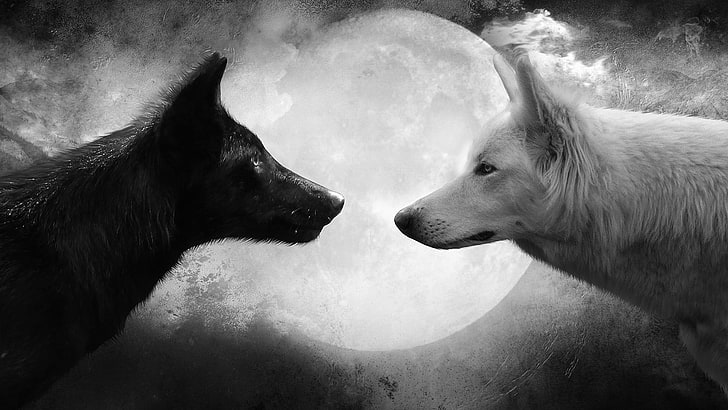 White Wolf Painting, two animals, moon, mammal, domestic