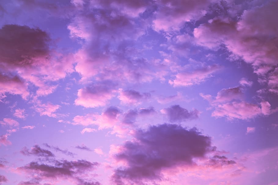 wind, sky, pink color, bright Free HD Wallpaper