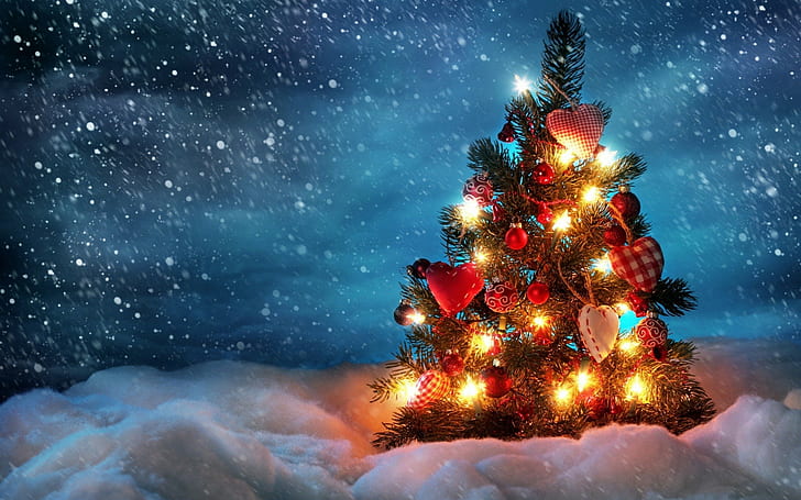 Xmas Tree, tree, holidays, christmas tree, christmas Free HD Wallpaper