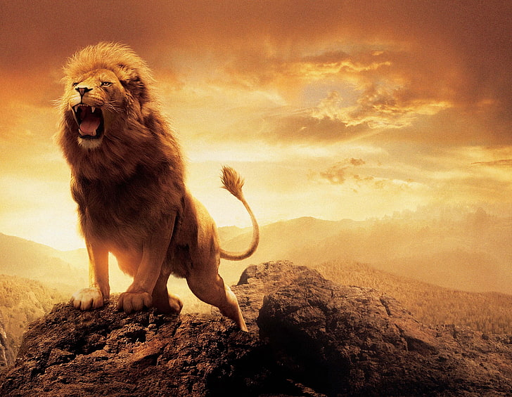 Aslan Drawing, cloud  sky, lion  feline, lion, animal Free HD Wallpaper