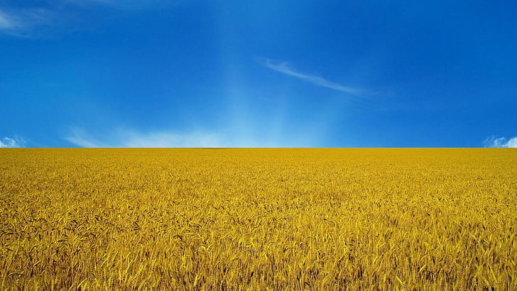 Blue and Yellow Living Room, scenics  nature, sky, rural scene, land Free HD Wallpaper