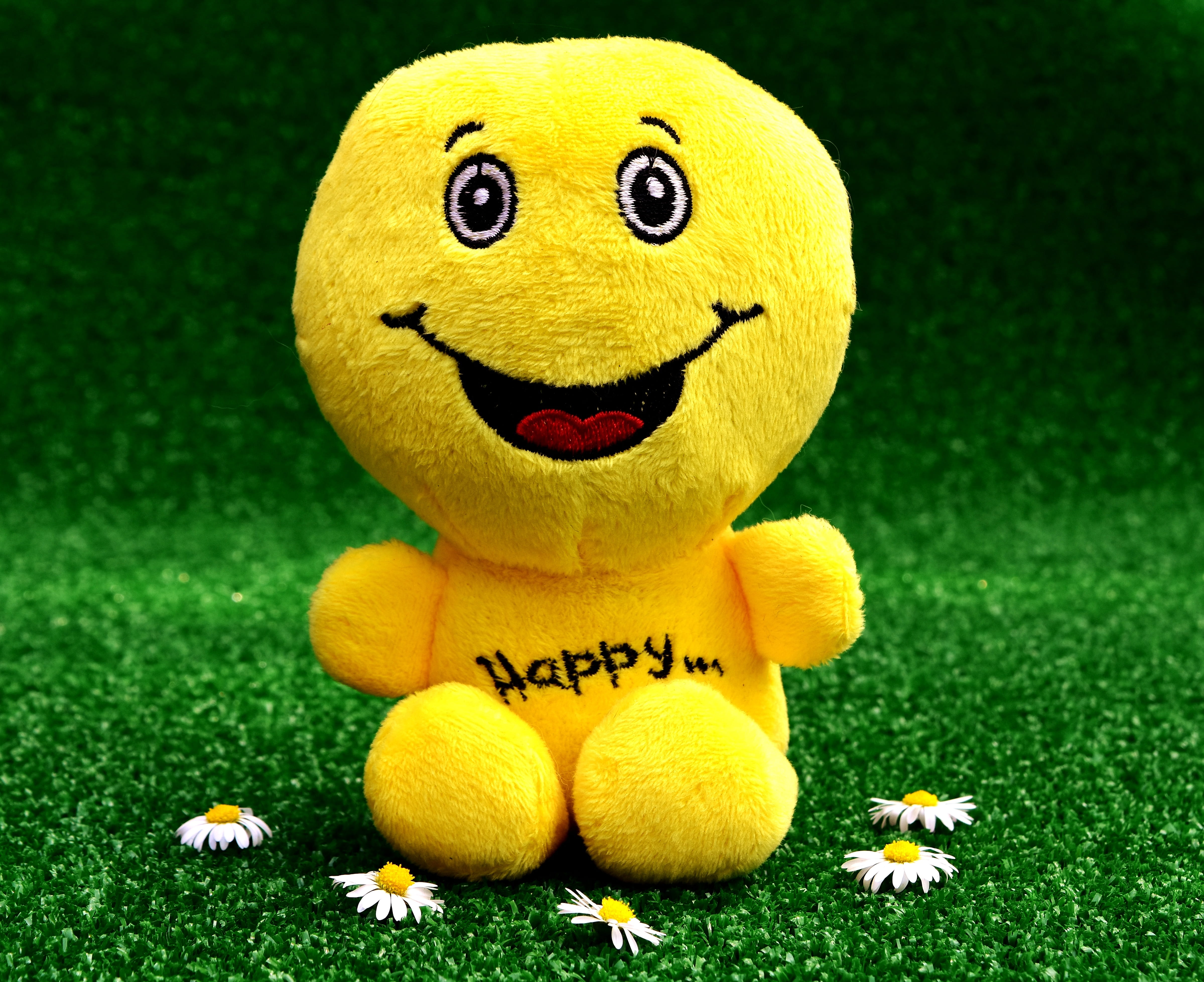 emotions, sweet, art and craft, emoticon