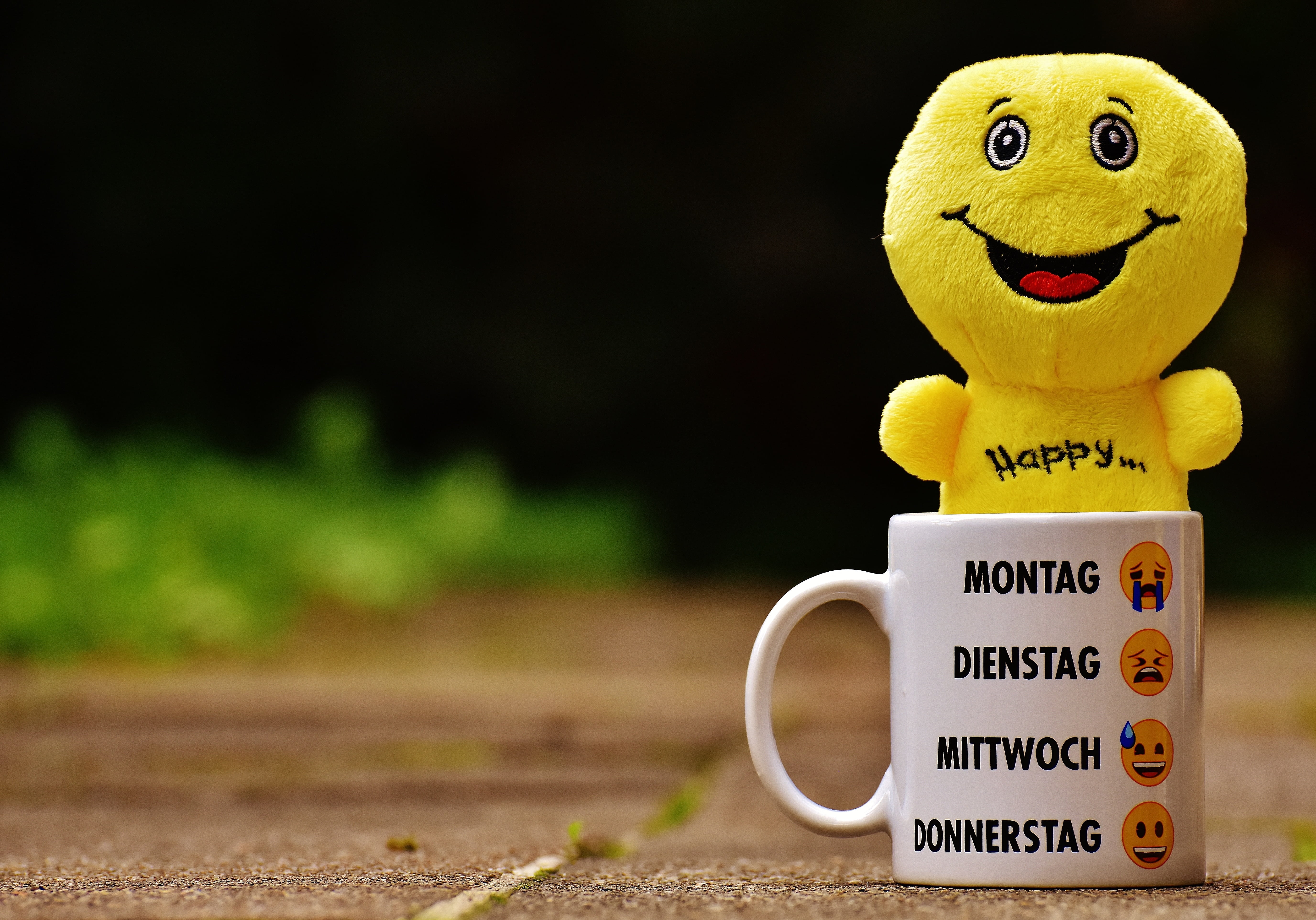 Good Morning Funny Quotes to Start the Day, smile, luck, communication, representation