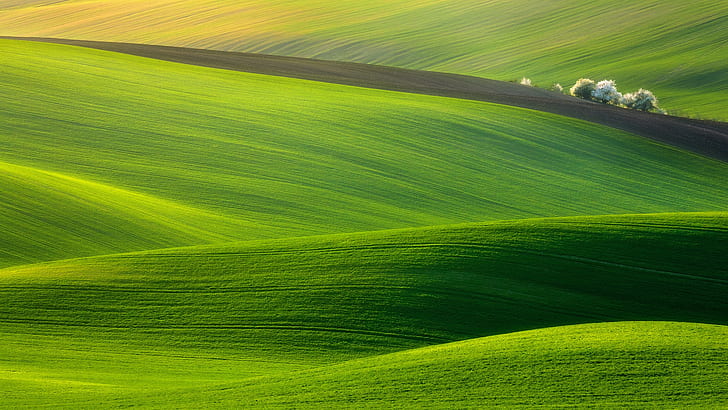 Greengrass Photography, nature, green, wales, naturel Free HD Wallpaper