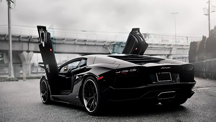 Lamborghini Mansory, black cars, motor vehicle, technology, motor racing track Free HD Wallpaper