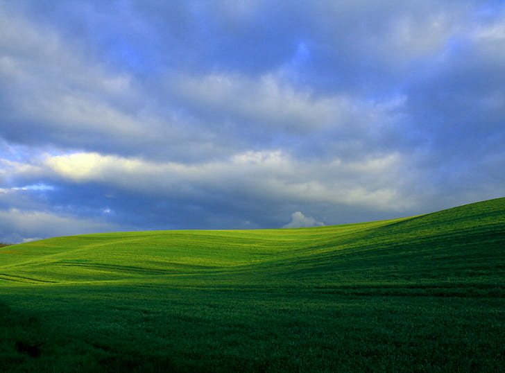 Landscape Hills Trees, me  my, meadow, farm, green  spring Free HD Wallpaper