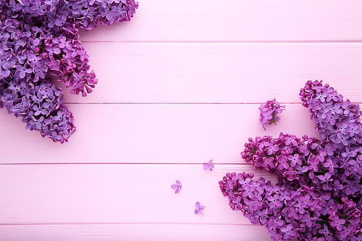 Lilac Flower Colors, wood, pink, lilac, flowers Free HD Wallpaper