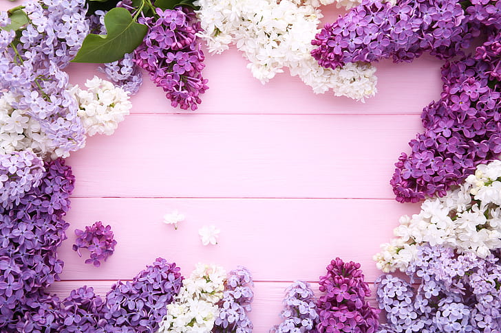 Lilac Flowers, background, lilac, purple, wood Free HD Wallpaper