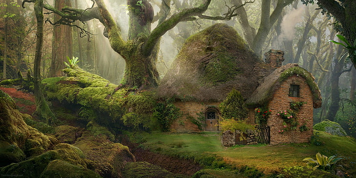 Old Cottage in the Forest, ancient, beauty in nature, day, tree trunk Free HD Wallpaper