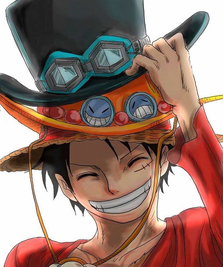 One Piece Monkey D. Luffy Hat, adult, day, piece, art and craft Free HD Wallpaper