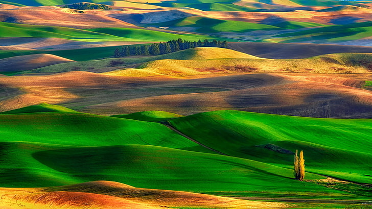 Palouse Landscape, no people, scenics  nature, washington, green color Free HD Wallpaper