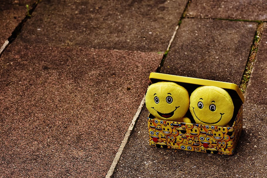 Smiley Cake, closeup, representation, absence, cookie jar Free HD Wallpaper