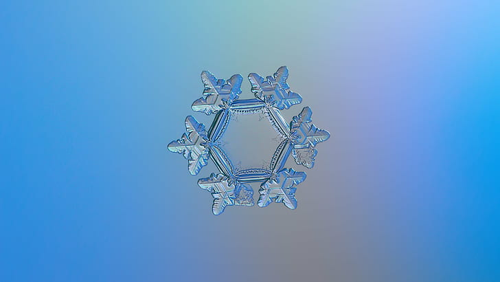 Sunflower Snowflake, decorated, gradient, shape, closeup