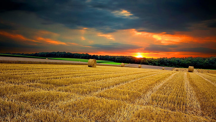 Thailand, rural scene, sky, country, sunset Free HD Wallpaper