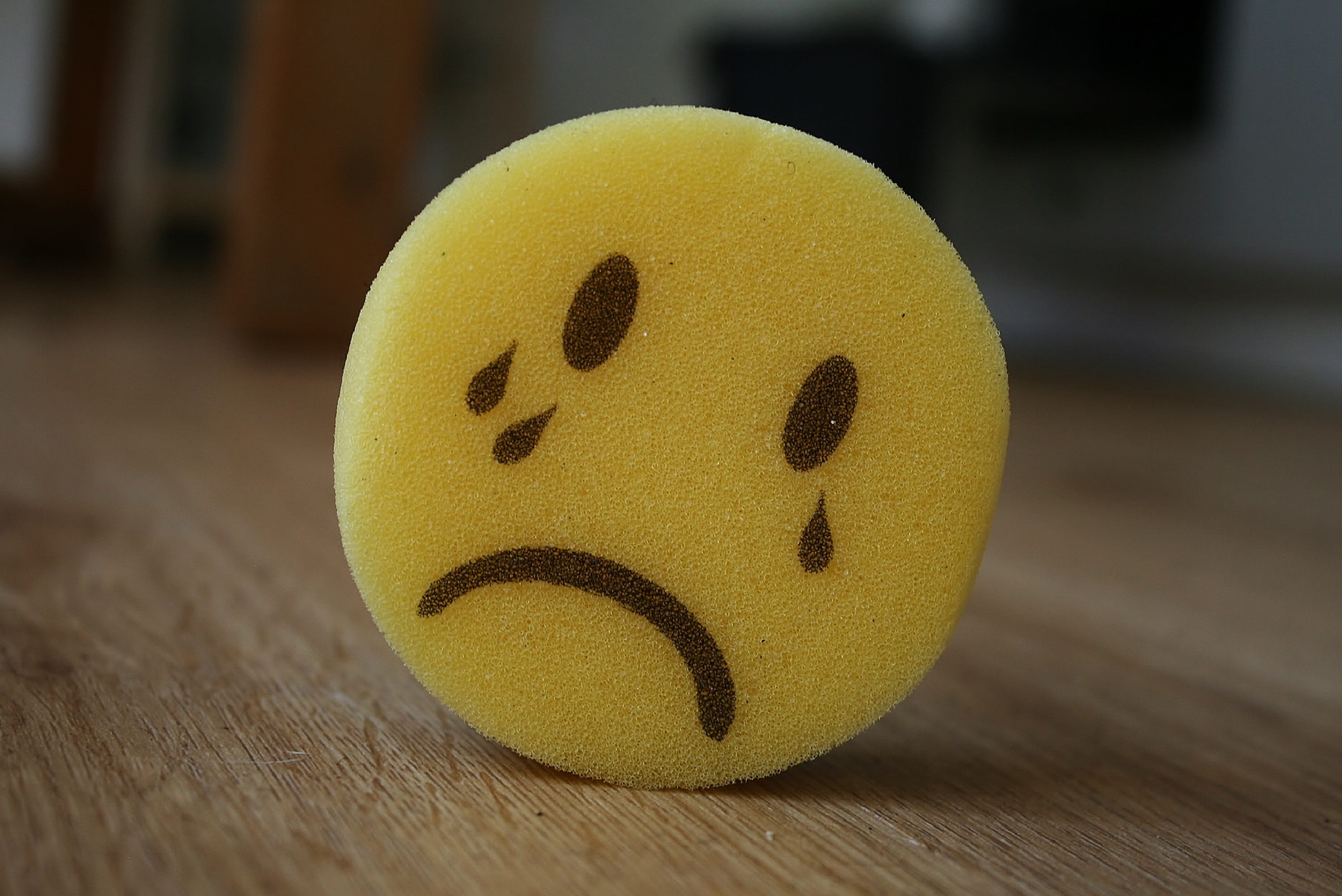Thinking Emote, sponge, art and craft, happiness, still life