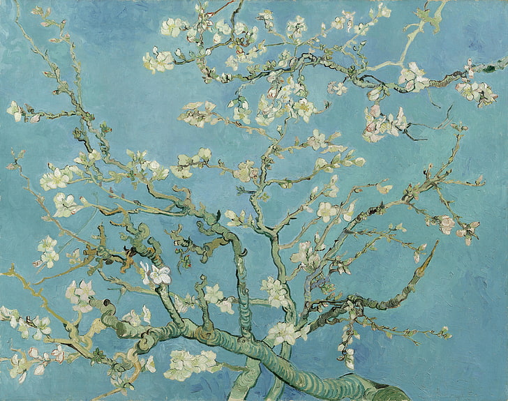 Van Gogh Blossoming Almond Tree, low angle view, tranquility, closeup, full frame Free HD Wallpaper