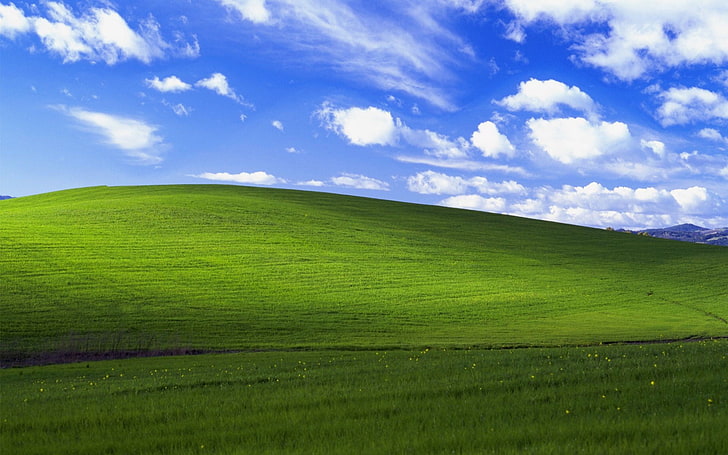 Windows XP Bliss, plant, outdoors, day, cloud  sky Free HD Wallpaper