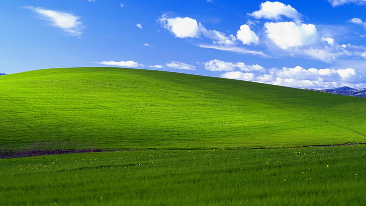 Windows XP Bliss Today, nature, environment, scenics  nature, field