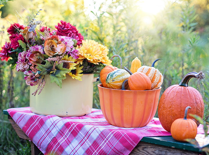 Apples and Pumpkins Fall Leaves, rustic, healthy, early, season Free HD Wallpaper