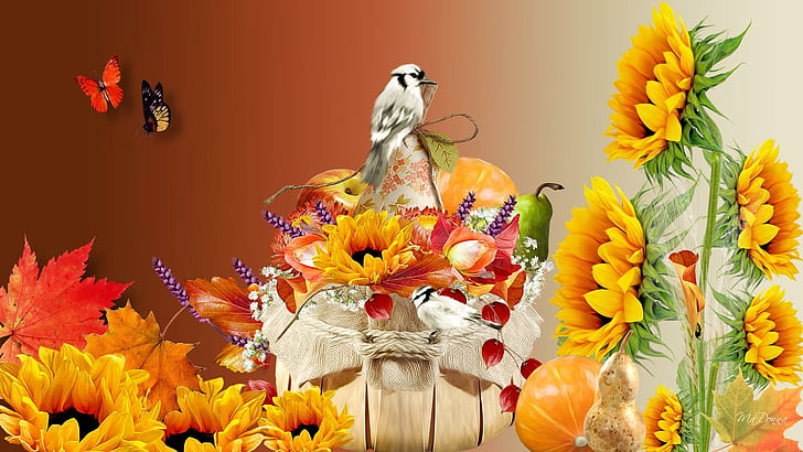 Autumn Flowers, autumn, gourd, thanksgi, food Free HD Wallpaper