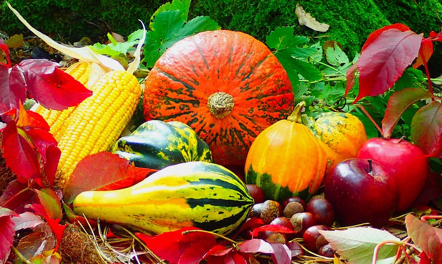 Autumn Nature, wellbeing, pumpkin, healthy, holiday