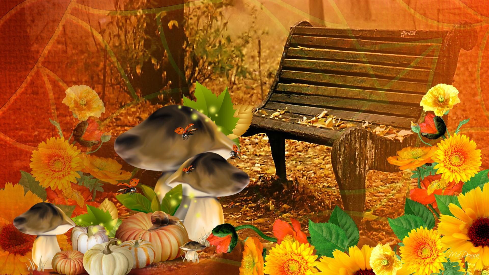 bright, day, gourds, fleurs