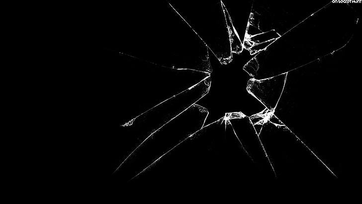 Broken, fragility, animal themes, copy space, night Free HD Wallpaper