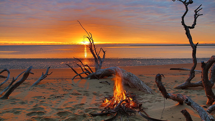 Campfire Pond, coast, burning, no people, beach Free HD Wallpaper
