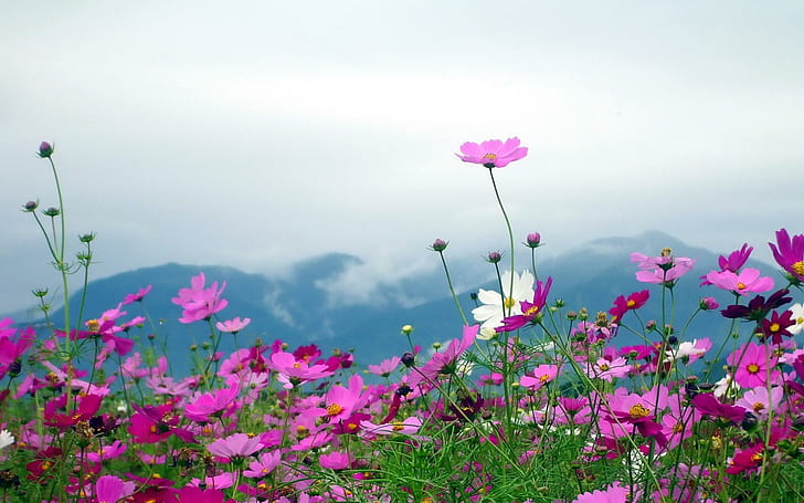 clouds, landscapes, mountains, sky Free HD Wallpaper