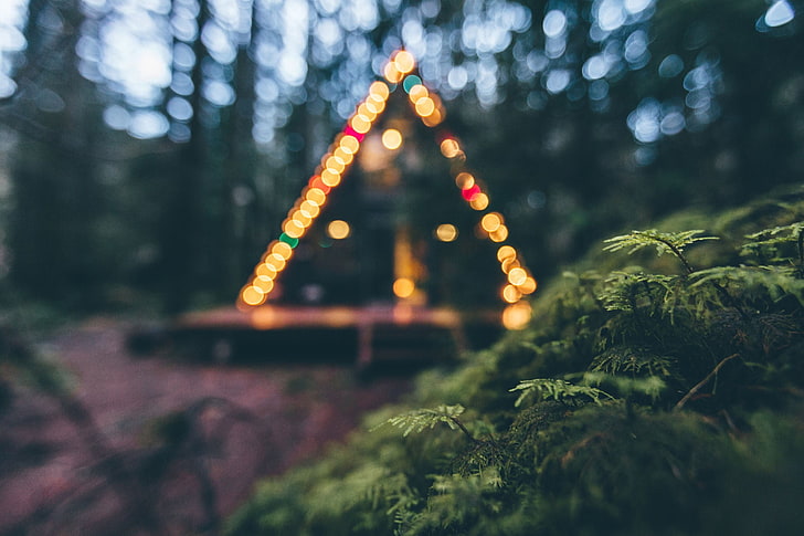 Colorful Blurred Lights, bright, outdoors, light  natural phenomenon, celebration