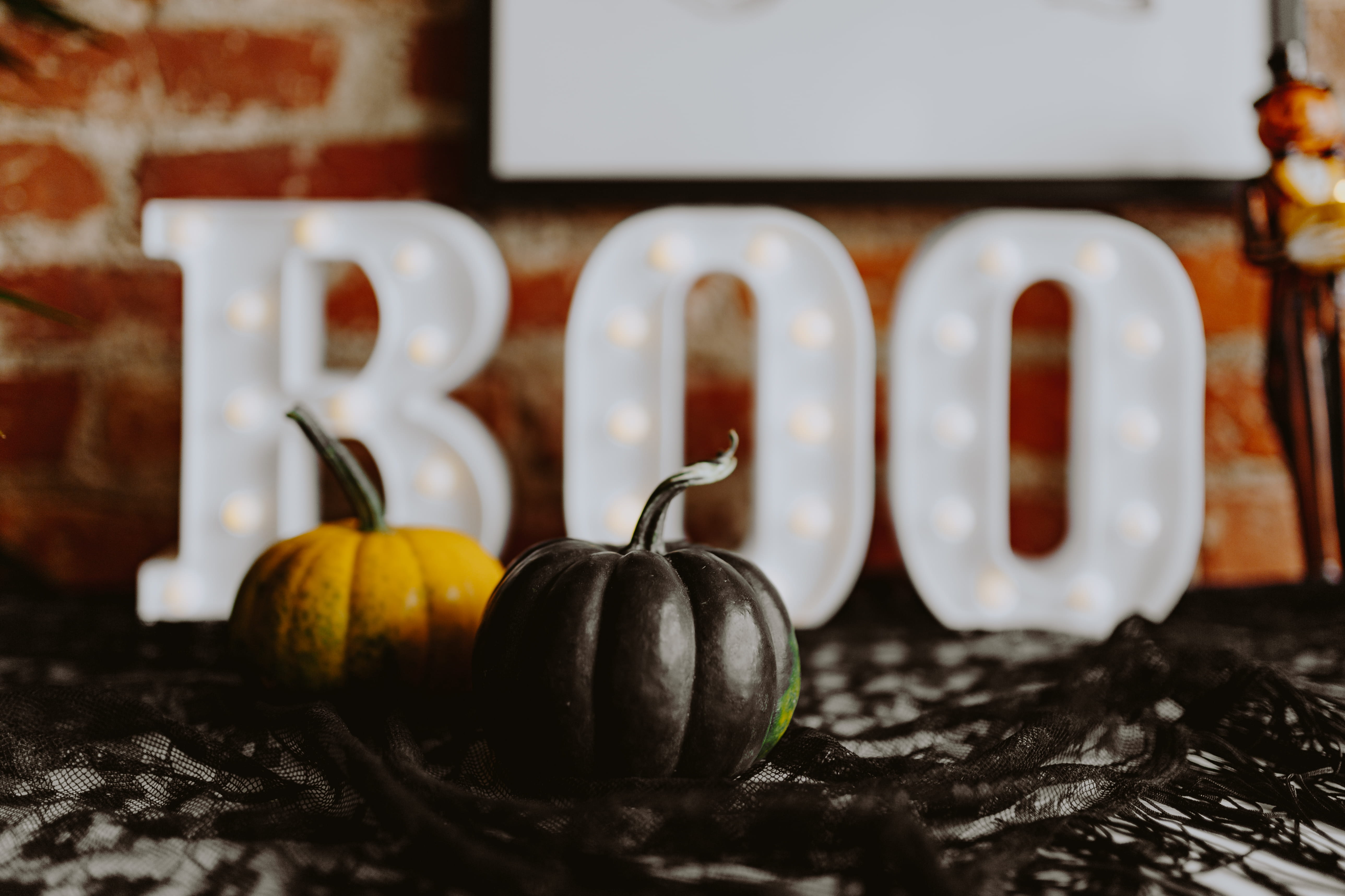 Cute Halloween Easy, no people, selective focus, wellbeing, closeup