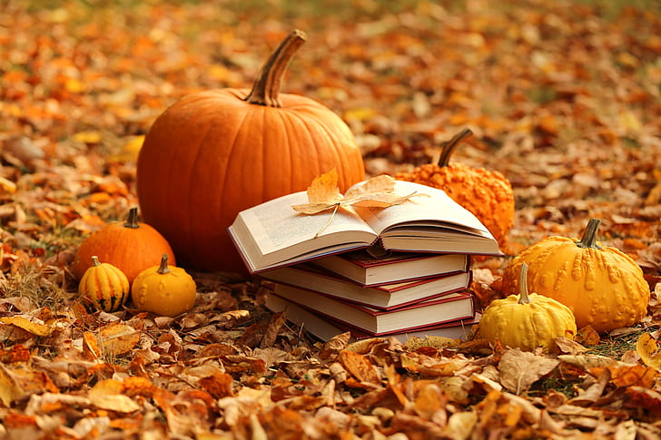 Fall Autumn Harvest, photography, book, still life, pumpkin Free HD Wallpaper