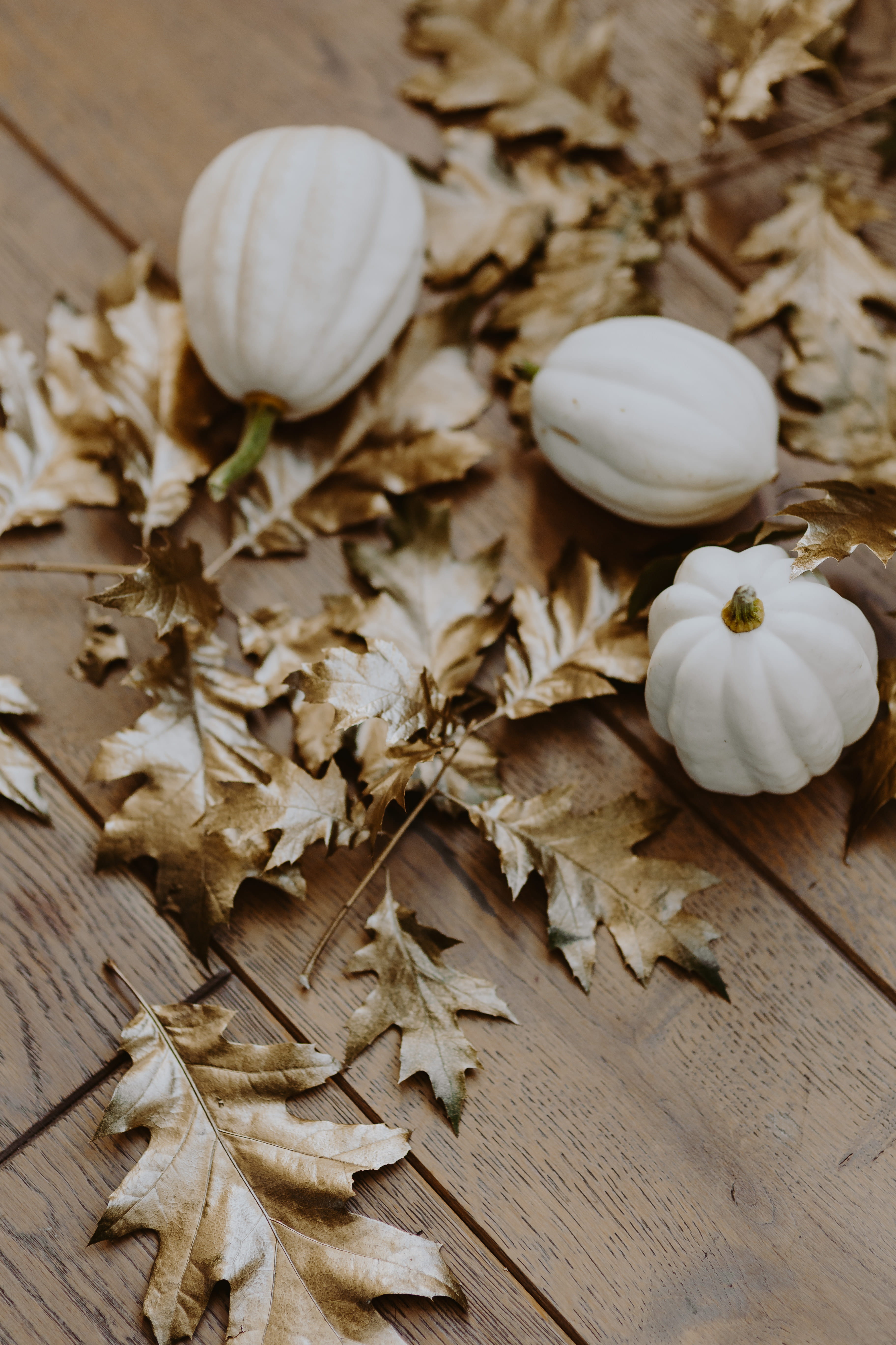 Fall Pumpkins and Mums, painted leaves, fragility, table, plant part