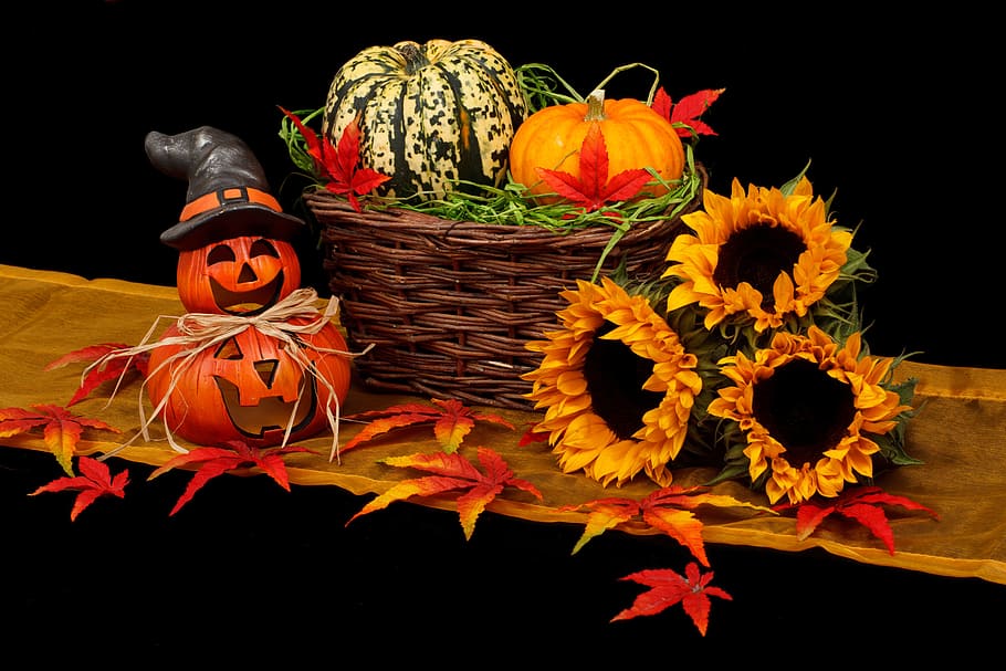 Halloween Decorations Outdoor, fruit, fall, art and craft, celebration