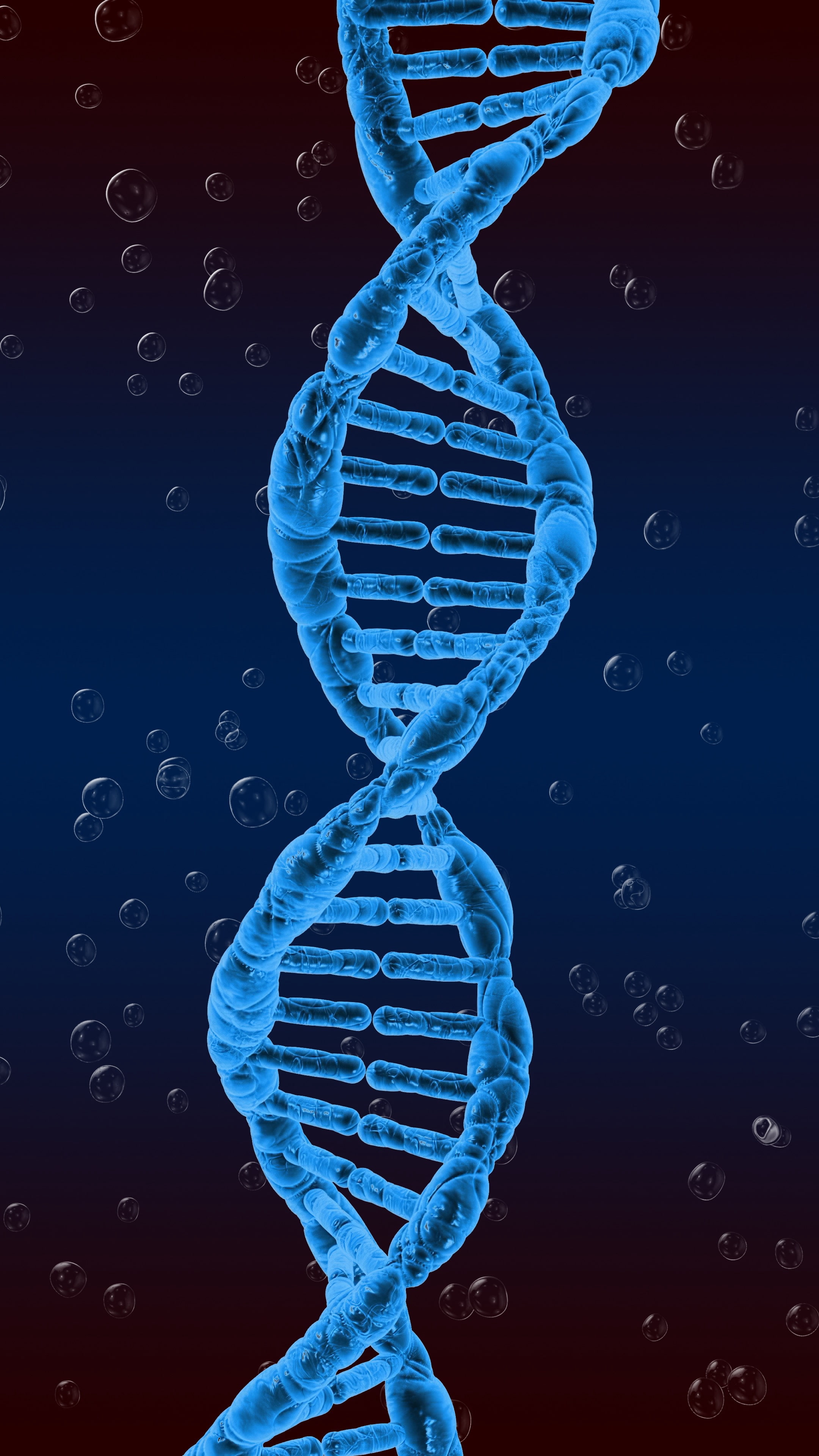 Human DNA Molecule, dna, twisted, genetics, spiral